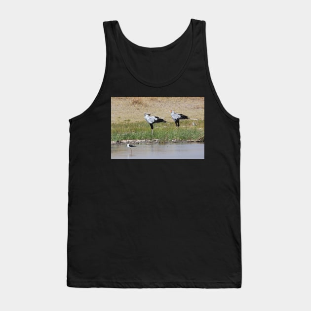 Pair of Secretary Birds,  Serengeti, Tanzania Tank Top by Carole-Anne